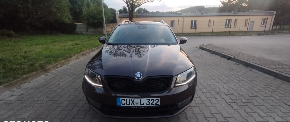 Skoda Octavia cena 40800 przebieg: 182000, rok produkcji 2015 z Złotoryja małe 704